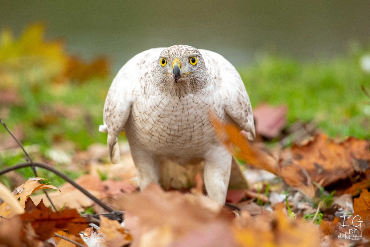 AK6I2428 31 oktober 2021 1630 39